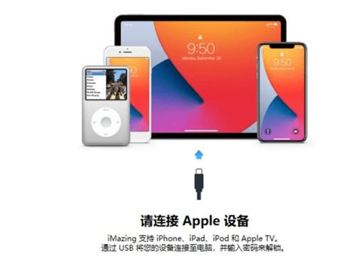 Imazing2024免费版 高效的计算机数据迁移与管理工具